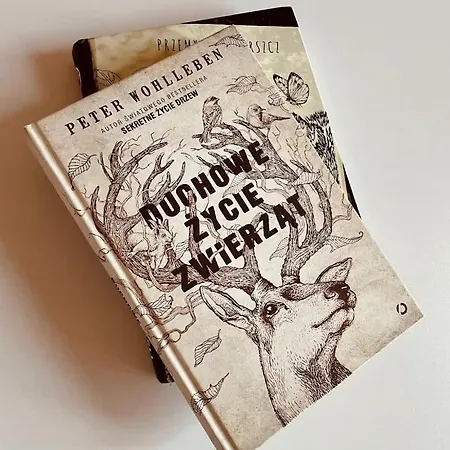 Zimna Woda 50 Casa vacanze