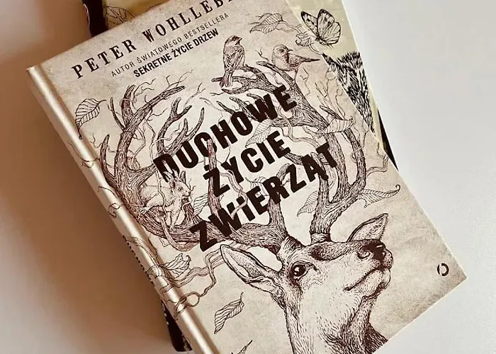 Zimna Woda 50 Σπίτι διακοπών